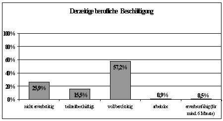 Schaubild derzeitige berufliche Bettigung