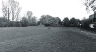 Geplant: Neue Sport- und Freizeitanlage in der Nachtwaid