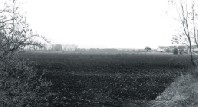 Das Baugebiet Reilinger Holzrott, 4. Abschnitt