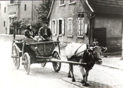 Kuhfuhrwerke