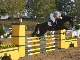 Reit- und Springturnier lockte viele Besucher an 