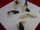Fingerfood von Mirjam Rickert 