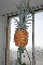 Auch Ananas wachsen in Reilingen