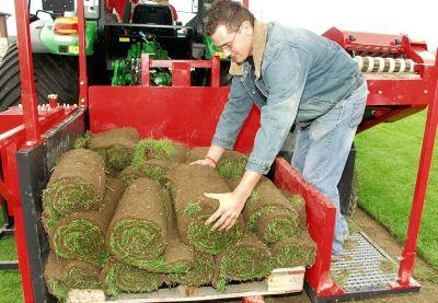 Philipp Geng beim stapeln des Rollrasens