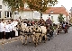 Fast 100 Pferde auf dem Weg zum Wendelinssegen 