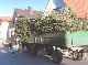 TTC sammelt seit 1976 Christbume