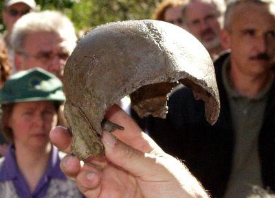 ca. 125.000 Jahre alt: Sch�delfragment des Homo reilingensis