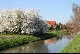 Frhling in Reilingen