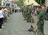 Die Vorfhrung der Polizeihundestaffel
