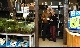 Tipps fr Nemo & Co. - Zooboutique Herchenhan