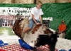 Dorfmeisterschaft im Bullenreiten