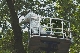 Die Nester der Eichenprozessionsspinner wurden beseitigt
