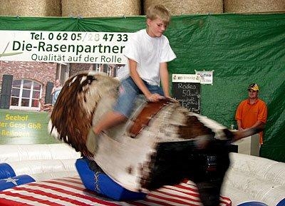 Dorfmeisterschaft im Bullenreiten