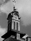 Storchennest auf dem Rathausturm in den 1960ern