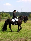 Nadine Treutlein bei der Dressur
