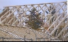 Der Richtfestbaum