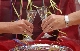 Prosit Neujahr ! Ade 2007, Willkommen 2008