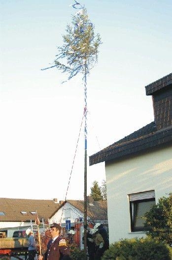 Brgermeisterbaum kndet von Wiederwahl