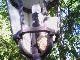 Lampen als Zielscheibe