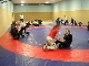 Judo