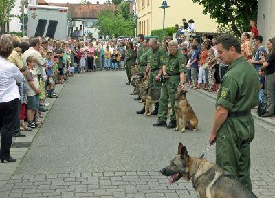 Die Vorfhrung der Polizeihundestaffel