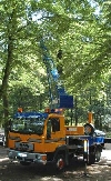 Einsatz im Wald mit Steiger