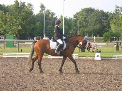 Fast 1200 Starts