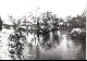 Die Reilinger Insel um das Jahr 1930