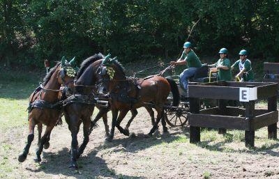 21. Reilinger Fahrturnier