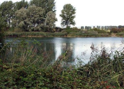 Reilinger Baggersee