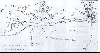 Riartiger Plan des Burgkomplexes Wersau um 1690