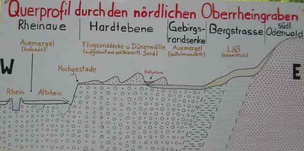 Schaubild: Querprofil durch den Nrdlichen Oberrheingraben