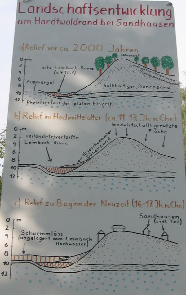 Schaubild Landschaftsentwicklung am Hardtwaldrand