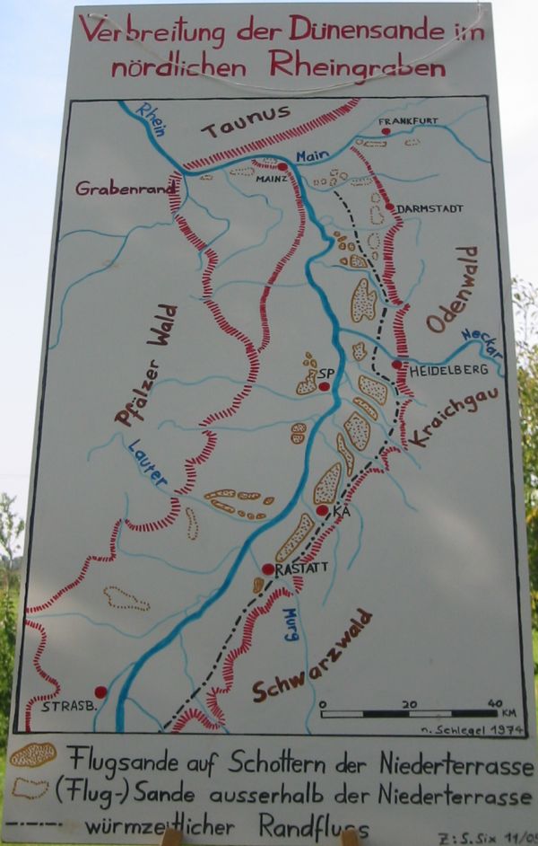 Schaubild: Verbreitung der Dnensande im Nrdlichen Rheingraben