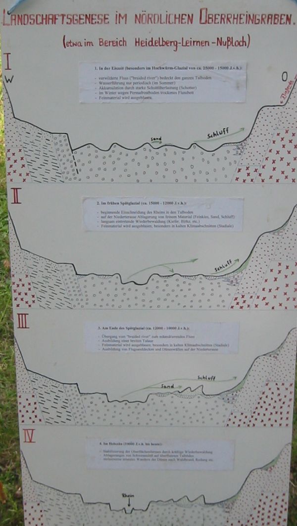 Schaubild: Landschaftsgenese im Nördlichen Oberrheingraben