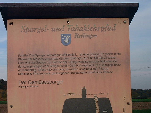 Schild Spargellehrpfad: der Gemüsespargel