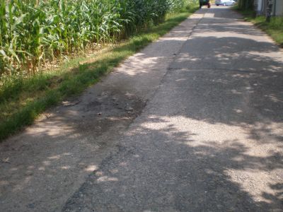 Die Häckselplatzzufahrt wird saniert